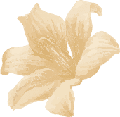 about-2-flower about-2-flower