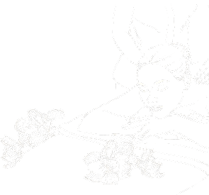 contact-1-s-2 contact-1-s-2