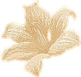 why-choose-2-s-1 why-choose-2-s-1